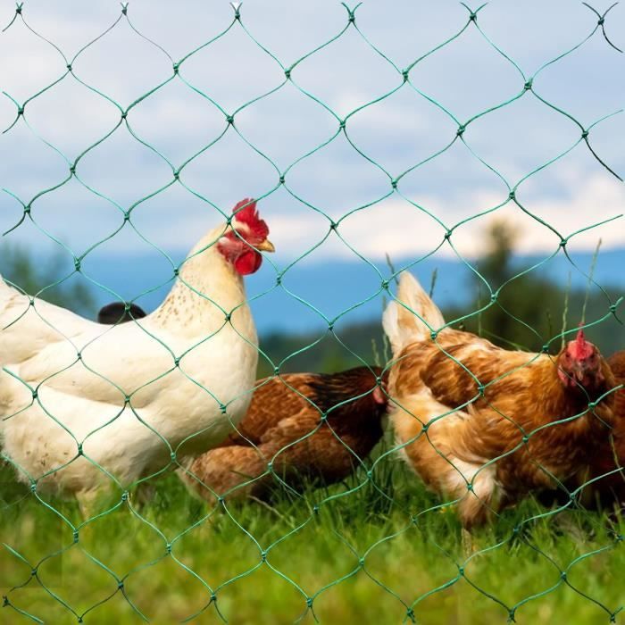 Filet à Volailles Électrifiable Kerbl - Clôture Poules 50m X 106cm | Double Pointe
