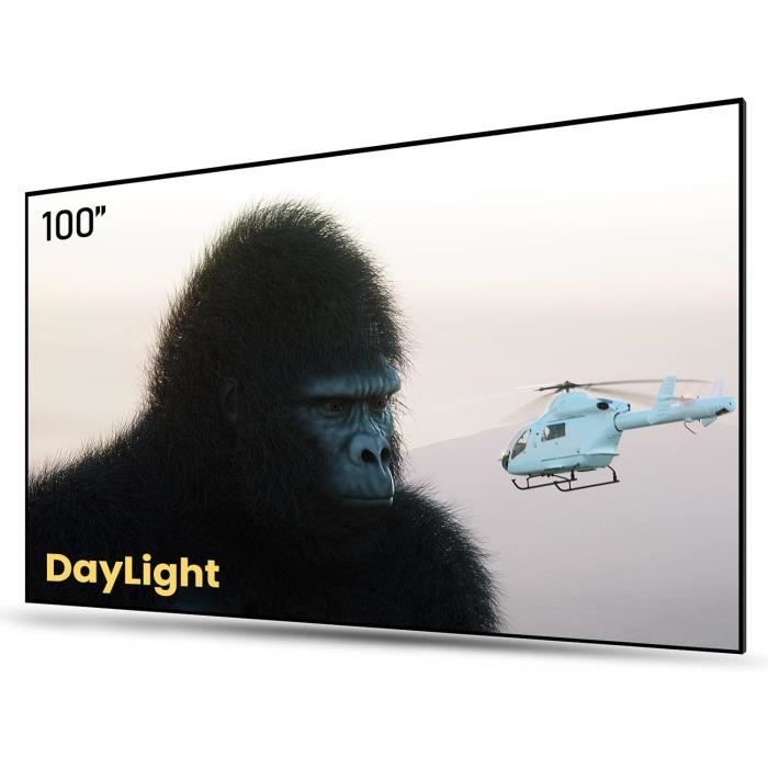écran Pour Videoprojecteur Intérieur Écran De Projection 100 Pouces - Qualité Supérieure Pour Intérieur Et Extérieur Toile Projection Home Cinéma Extérieur