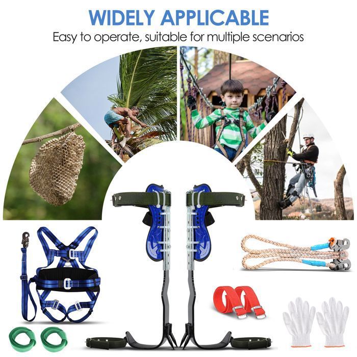 Grimpe D'arbres Pour Un Groupe D'enfants - Profil Evasion | Grimpe D