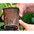 100 Pcs 8 cm Pots de Graines de Fibres Biodégradables pour Les Semis avec 100 Pcs Étiquettes de Couleur en Plastique pour Plantes,-3