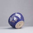 Rishx Bleu d'europe Céramique Pot de Fleurs avec Drainage Trou, en céramique émaillée de Fleurs Container Bureau Cache-Pot[S518]-3