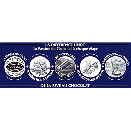 Lindt Tablette Double Lait Maitre Chocolatier, Chocolat au Lait, 2 x 110g :  : Epicerie