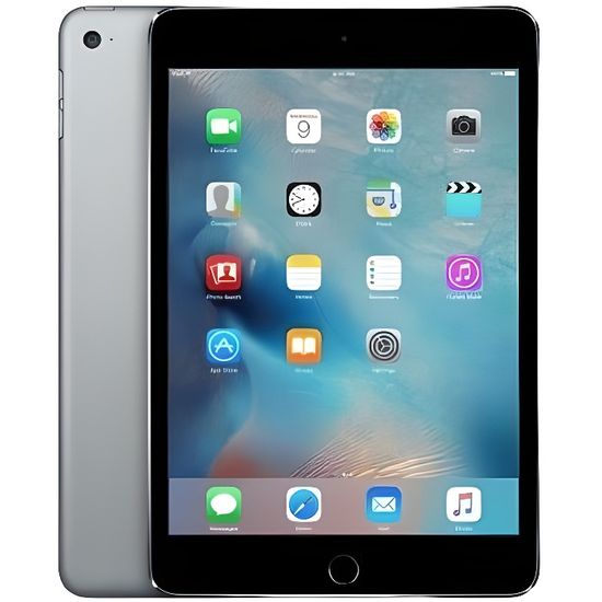 iPad mini 4 (2015) - 64 Go - Gris sidéral - Reconditionné - Etat correct