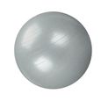 Ballon de gymnastique/ fitness anti-éclatement D. 65 cm en PVC (Gris) - D-Work-0