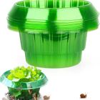 BRAND 10 Pièces Colliers Anti-Limaces et Escargots,Anneaux Anti Limaces Efficaces,Colliers Anti-Escargots Naturel pour Salades et Choux