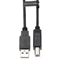 Câble USB Imprimante 5m pour HP Envy 4520 - 6255, DeskJet 1112 - 2655 - Officejet 8600 - Plus - PhotoSmart 6520 - WF-R8590 - WF-R