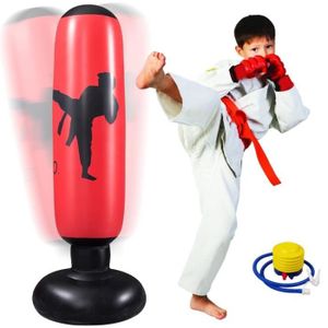 Sac de frappe,Kungfu – sacs de sable de combat gratuit, entraînement à  cible, boxe thaïlandaise, karaté, - Type 60cm with gloves - Cdiscount Sport