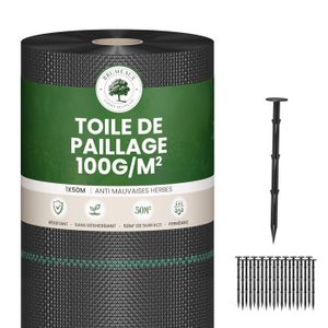 Sardines métalliques galvanisés – Utile pour le jardin