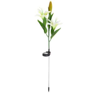 2x Balise Solaire Jardin Exterieur Lampe Fleur Pelouse Gazon Blanc