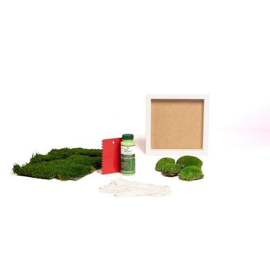 Lot De 5 Toiles Vierges Pour Peinture Acrylique, Peinture à L'huile Et Eau Humide, 30,5 X 40,6 Cm, Toiles Pour Artistes Professionnels, Peintres Amateurs Et Débutants