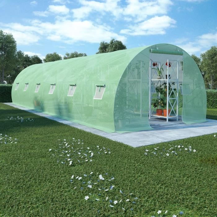 Serre avec fondation en acier 27 m² 900x300x200 cm -QNQ