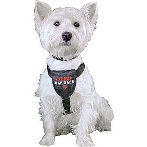 Accessoire Chien, Clix voiture TP75-95, Taille L