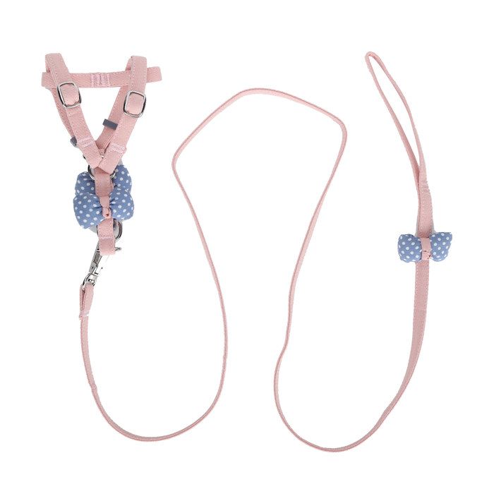 Meilleurs prix pour Harnais pour animaux de compagnie avec laisse et harnais de marche anti-évasion pour petits animaux