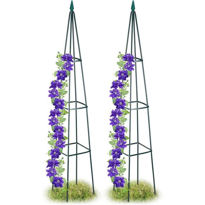 Lot De 2 Tuteurs à Tomates Pyramide En Métal - Support Plantes Grimpantes 120cm - Noir
