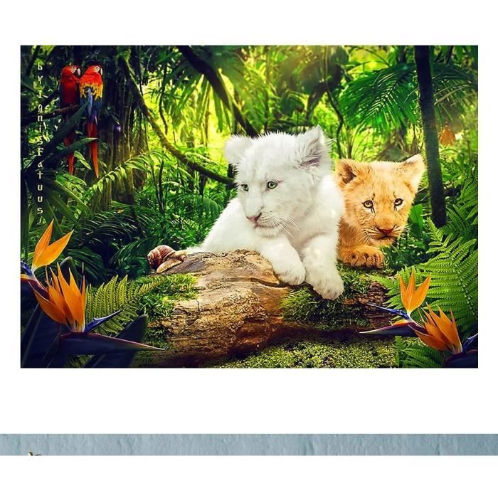 5D À faire soi-même Full Drill Diamond peinture chat point de croix broderie Mosaïque Kit