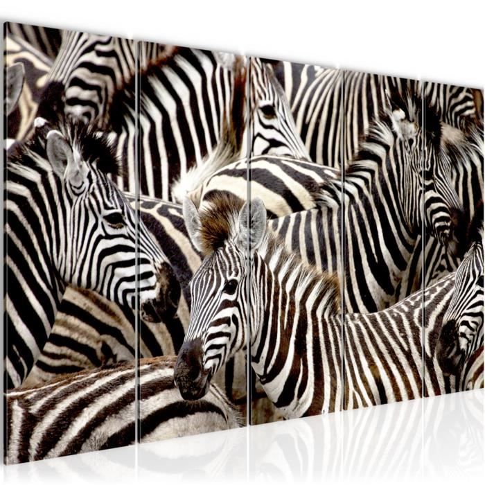 tableau toile photo zebre d afrique decoration murale 200 x 80 cm toison toile xxl salon appartement gris pret a accrocher 000855a achat vente tableau toile cdiscount