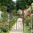 Relaxdays Arche de rosiers porte, Arcade, treillis plantes grimpantes, tuteur métal, 230 x 113,5 x 36,5 cm, vert foncé-1