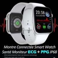 Montre Connectée Femme Smartwatch Homme ECG PPG BLE4 IP68 Alliage Aluminium Écran Anti-dactylogramme Bracelet Silicone Dépolissement