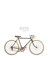 papier peint panoramique vieux vélo blanc, marron et beige - 232,5 cm x 2,79 m - 158807