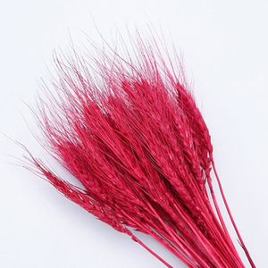 FLEUR ARTIFICIELLE rouge - Bouquet de fleurs de blé véritable, 50 piè
