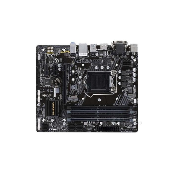 Carte mère GIGABYTE B250M-DS3H Intel B250 Socket LGA1151 4xDDR4 SDRAM 64GB Micro ATX - Gigabyte