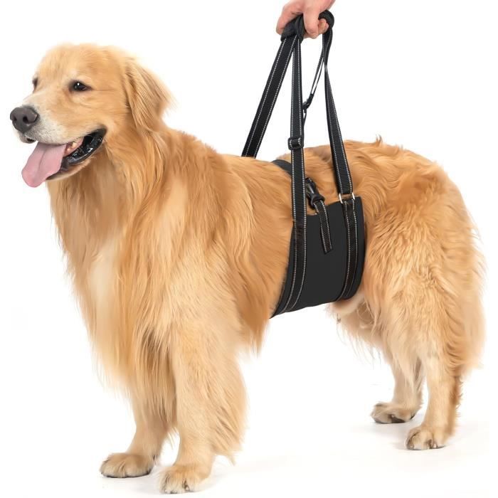 Harnais De Levage Et Transport Pour Chien/Chiot - Ajustable, Tissu Oxford, Idéal Promenade, Voyage, Camping