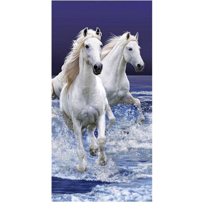 Drap De Plage Cheval Noir Au Galop A La Plage Serviette Eponge Velours 75x150cm Achat Vente Serviette De Plage Cdiscount Drap De Plage Cheval Noir Au Galop A La Plage Serviette Eponge Velours 75x150cm Achat Vente Serviette De Plage Cdiscount