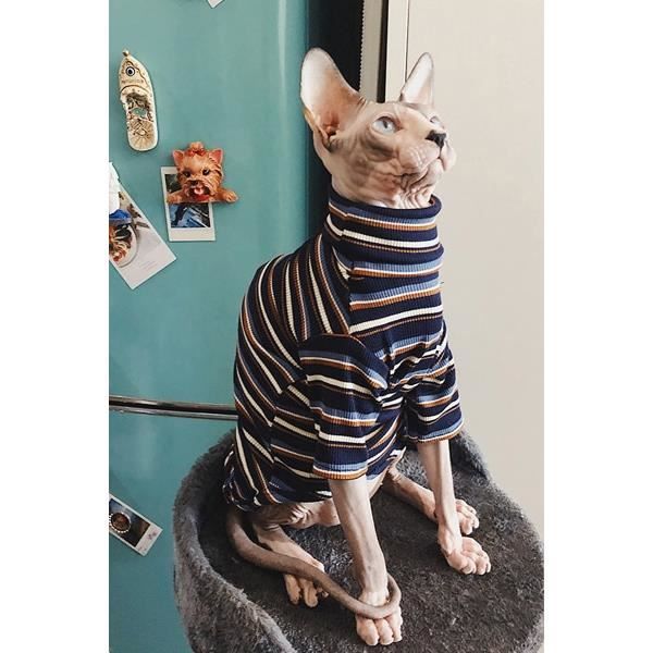 Manteau Blouson Vetements De Chat Pour Sphinx Vetements De Chat Sans Poils Vetements Rayes Chaud Pull Tricote Type Bleu Marine S Cdiscount Manteau Blouson Vetements De Chat Pour Sphinx Vetements De Chat Sans Poils Vetements Rayes Chaud Pull Tricote Type Bleu Marine S Cdiscount