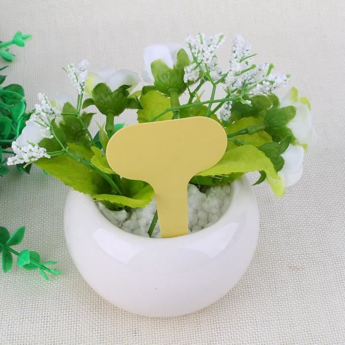 Étiquettes De Plantes En Plastique Vert - Lot De 100 Marqueurs En T Résistants Aux UV, Réutilisables Pour Jardin, Potager Et Semis