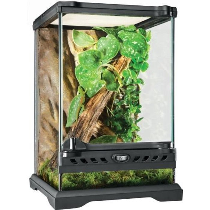terrarium en verre 20x20x30 cm cdiscount animalerie