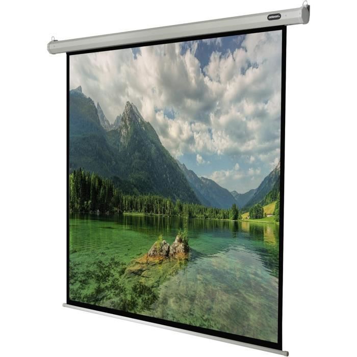Écran Motorisé Economy Pour Le Home-Cinéma Et Les Présentations Avec ...