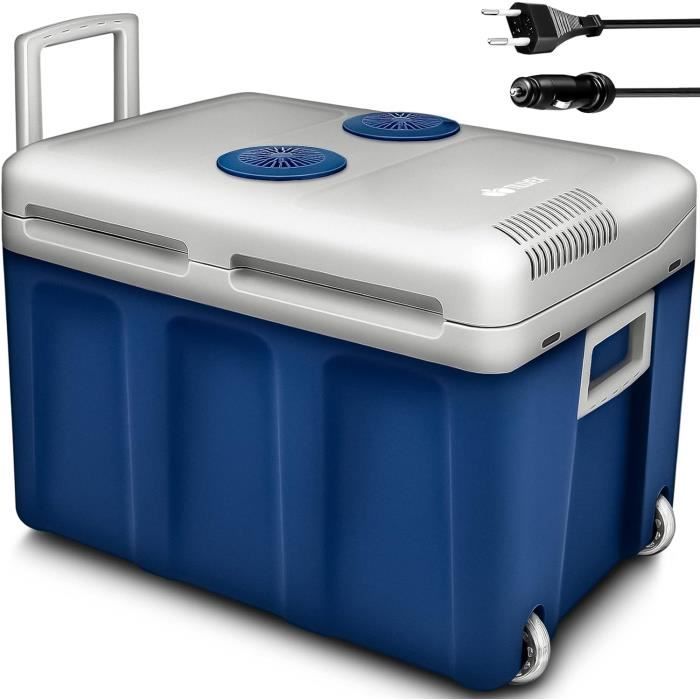 Rosenstein & Söhne Mini réfrigérateur 2 en 1 avec prise 12/230 V - Gris