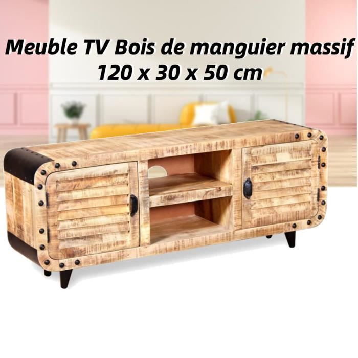 Meuble TV En Bois De Manguier Massif 120 Cm (L) X 30 Cm (P) X 50 Cm (H)