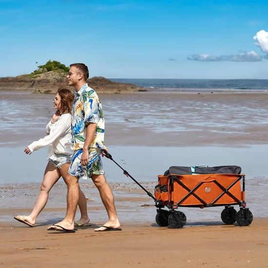 Chariot Pliable Timber Ridge 600L - Grandes Roues Tout Terrain Avec Frein & Hayon