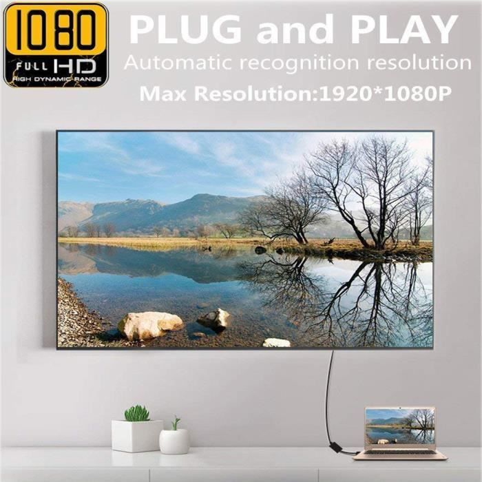 Adaptateur VGA vers HDMI 1080P HD Audio TV AV2