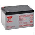 Batterie plomb AGM NP12-12FR 12V 12Ah YUASA - Batterie(s)-0