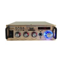 Amplificatore Usb Auto 2 Canali Hifi Supporto Audio Radio Stereo Memory Card 004a -        