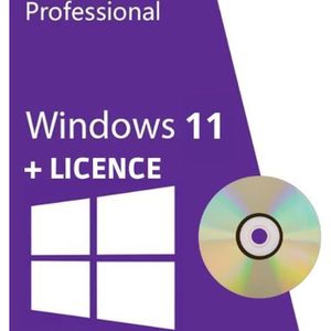 SYST EXPLOIT À TÉLÉCHARGER Windows 11 Famille DVD