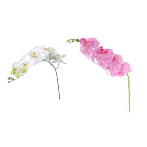 vert SODIAL Un Bouquet Feuille de papillon orchidee de simulation artificielle Arrangement de fleurs de simulation