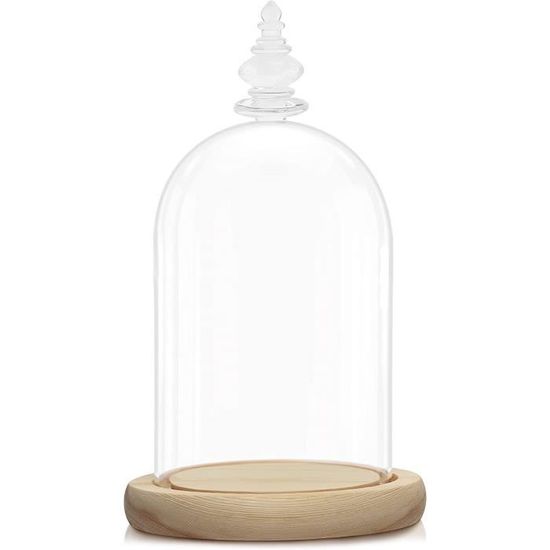 Cloche En Verre Avec Socle Bois 31.5cm - Dôme Décoratif Pour Plantes Ou Objets
