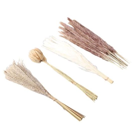 60 Pcs Séché Pampas Herbe Décor, Pompas Floral Fleurs Sèches Pour Ferme