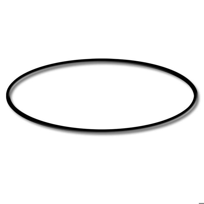 Pièce détachée: SunSun CSF-500 Filtre de bassin à sable Joint torique 2 - 50981-09
