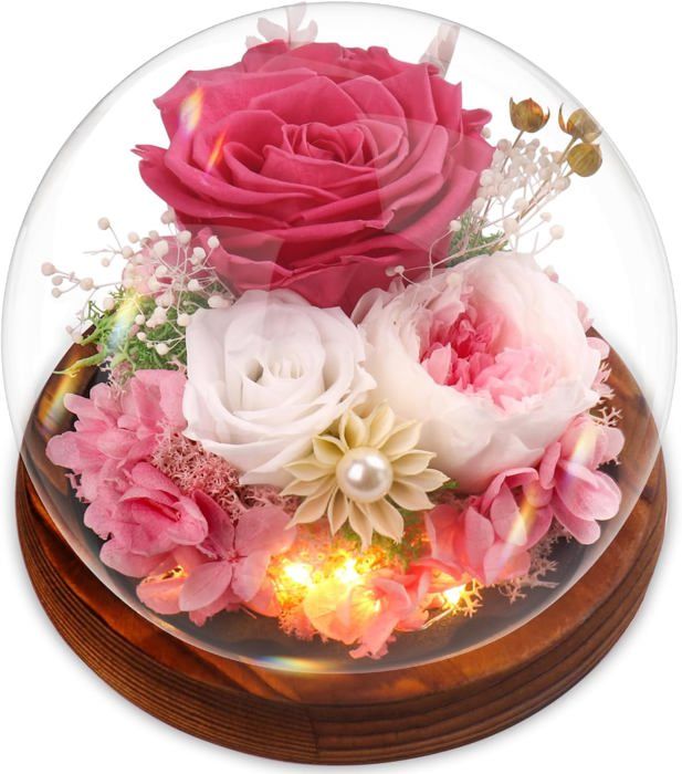 Tournesols éternels Sous Cloche Avec Lumière LED - Fleurs Naturelles Préservées, Cadeau Romantique Pour Femme Ou Maman