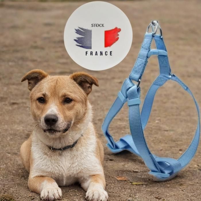 Harnais réfléchissant pour chien ajustable