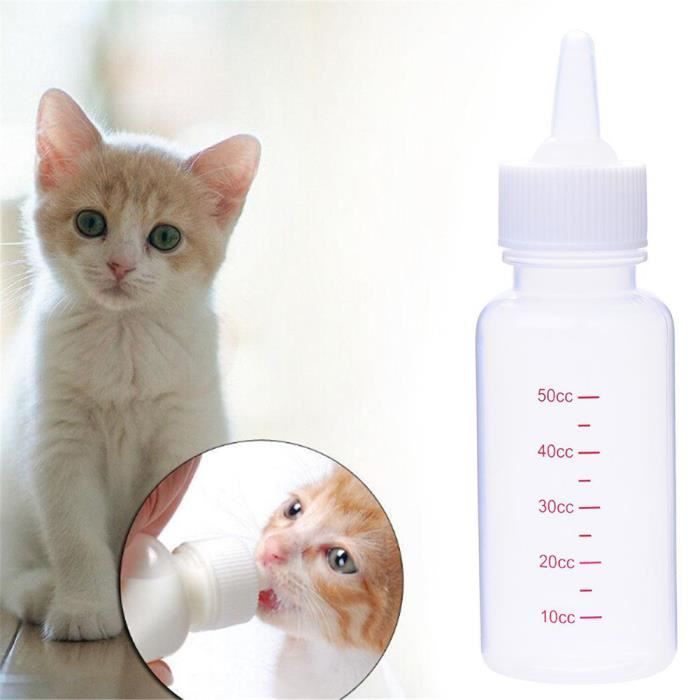 Pratique Chien Chat Lapin Soins Lait Allaitement Bouteille D Alimentation Cdiscount