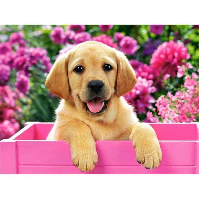 Kit Peinture Diamant 5D DIY – Adorable Chiot Golden Retriever, Toile 40×50 Cm, Forage Complet, Loisir Créatif Relaxant & Déco Murale