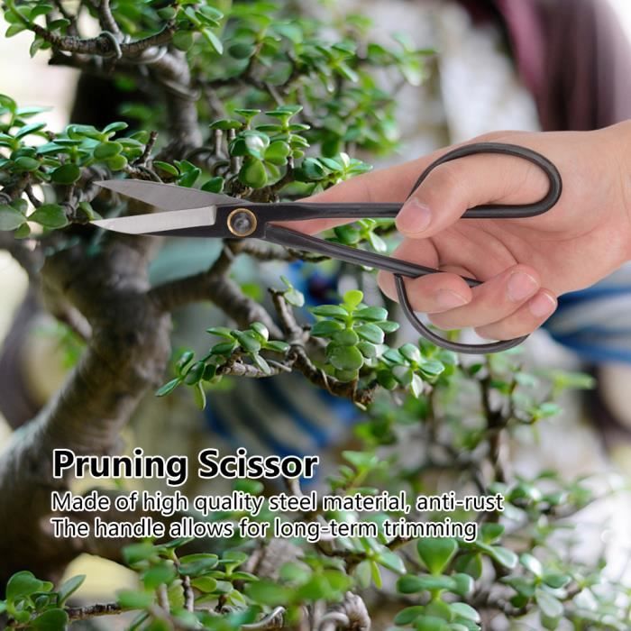 Ciseaux Bonsaï Acier Inoxydable 190mm - Taille Précise Branches, Feuilles, Bourgeons - Ergonomique & Durable - Jardinage