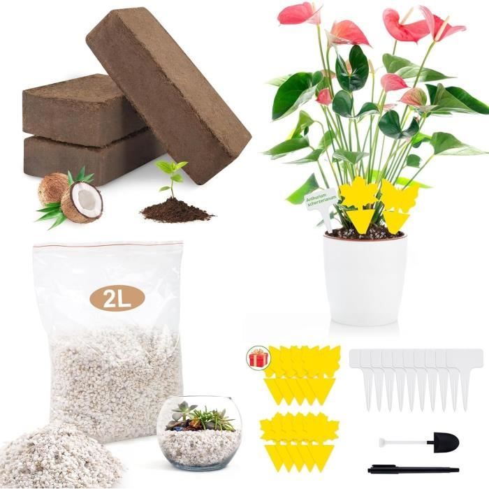 Briques D'humus De Coco - 10x650g Pour 90L De Terreau écologique, Sans Tourbe, Parfait Pour Semis Et Plantes