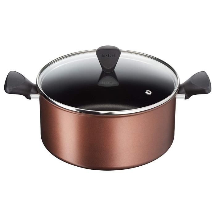 TEFAL G1084602 Resource Faitout 24 cm (5 L) + Couvercle Marron - Tous feux  dont induction - Cdiscount Maison