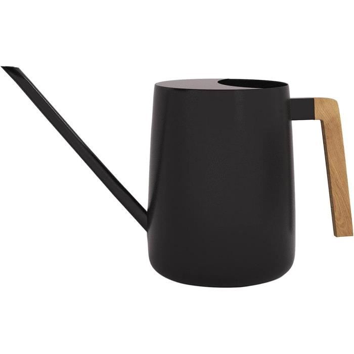 Arrosoir 2 Litres Avec Long Bec Amovible Et Pommeau De Douche - 2 Modes De Pulvérisation - Pour Plantes Intérieur/extérieur (Gris)